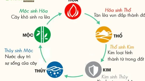 Gợi Ý Cách Đặt Tên Cho Con Trai Tuổi Đinh Hợi 2007 Hay Và Hợp Phong Thủy