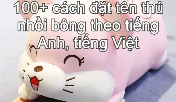 Gợi Ý Cách Đặt Tên Cho Gấu Bông Dễ Thương Và Ý Nghĩa Nhất Cho Thú Cưng Của Bạn