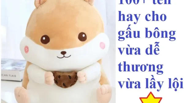 Gợi Ý 125+ Cách Đặt Tên Cho Gấu Bông Tiếng Việt Dễ Thương Và Ý Nghĩa Nhất