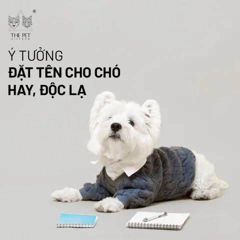 Tại Sao Nên Chọn Tên Ngắn Gọn Từ Một Đến Hai Âm Tiết? Tại Sao Nên Chọn Tên Ngắn Gọn Từ Một Đến Hai Âm Tiết?