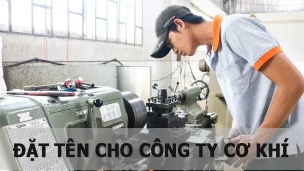 Gợi Ý 260+ Tên Cho Khỉ Độc Đáo, Hay Và Đáng Yêu Nhất