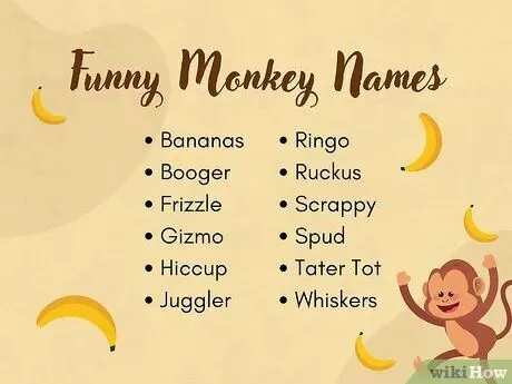 Những Cái Tên Mang Phong Cách Hài Hước Và Tinh Nghịch Là Gì? Những Cái Tên Mang Phong Cách Hài Hước Và Tinh Nghịch Là Gì?
