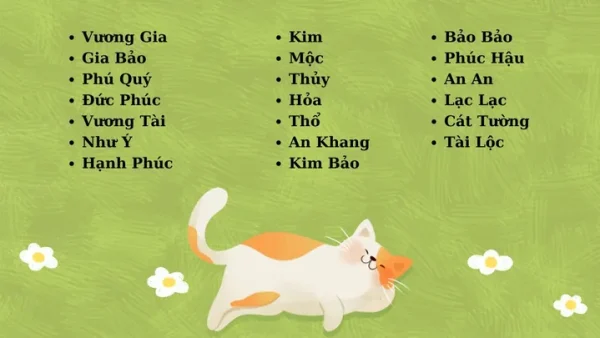 101+ Cách Đặt Tên Cho Mèo Đực Bằng Tiếng Việt Hay, Ý Nghĩa Và Dễ Gọi Nhất