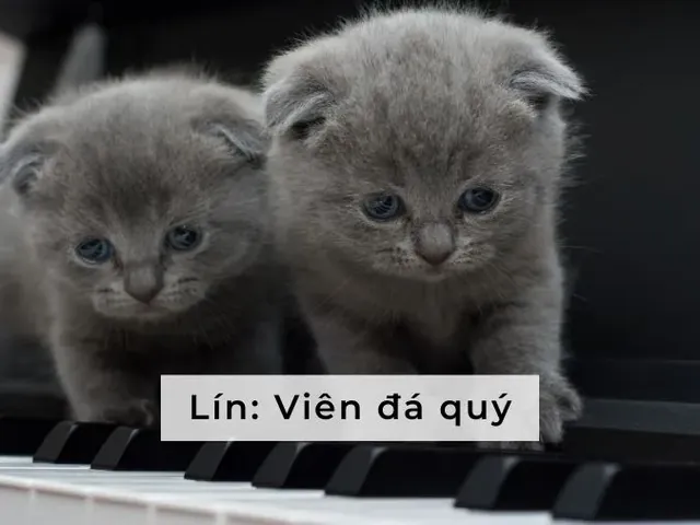 Nhóm Tên Theo Tiếng Hàn, Tiếng Nhật Và Tiếng Trung