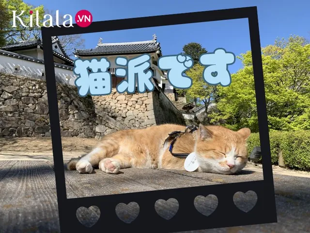 Goro (ゴロー - Đứa Con Trai Thứ Năm)