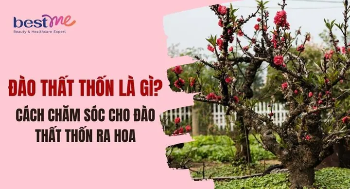 Gợi Ý Danh Sách Tên Cho Thỏ Trắng Cute, Dễ Thương Và Ý Nghĩa Nhất