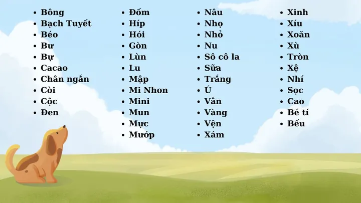 Tổng Hợp Cách Đặt Tên Cho Thú Cưng Hay, Ý Nghĩa Và Dễ Thương Nhất Tổng Hợp Cách Đặt Tên Cho Thú Cưng Hay, Ý Nghĩa Và Dễ Thương Nhất