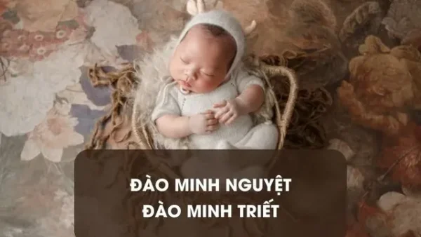 Hướng Dẫn Đặt Tên Con Gái Họ Đào Hay, Ý Nghĩa Và Hợp Phong Thủy Năm 2026
