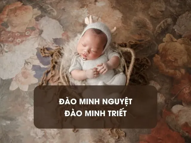 Gợi Ý Các Tên Con Gái Họ Đào Mang Ý Nghĩa Thông Minh, Tài Giỏi Và Sang Trọng Gợi Ý Các Tên Con Gái Họ Đào Mang Ý Nghĩa Thông Minh, Tài Giỏi Và Sang Trọng