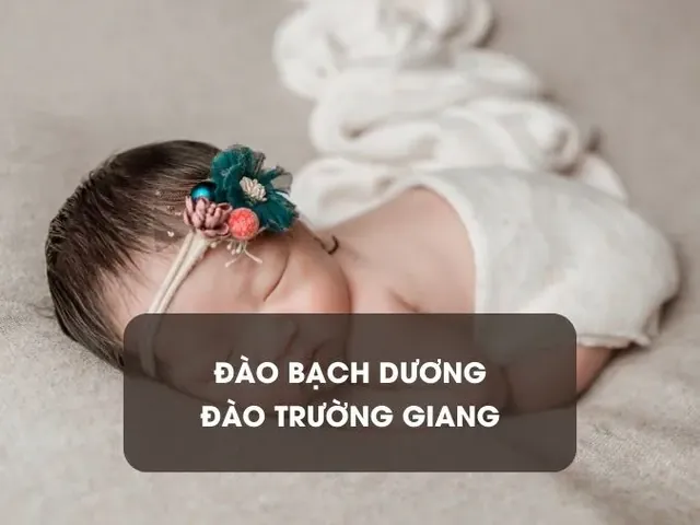 Những Tên Gọi Ở Nhà Đáng Yêu Và Độc Đáo Cho Bé Gái Họ Đào Những Tên Gọi Ở Nhà Đáng Yêu Và Độc Đáo Cho Bé Gái Họ Đào