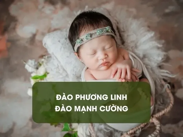 Gợi Ý Các Tên Con Gái Họ Đào Mang Ý Nghĩa Bình An, May Mắn Và Hạnh Phúc Gợi Ý Các Tên Con Gái Họ Đào Mang Ý Nghĩa Bình An, May Mắn Và Hạnh Phúc