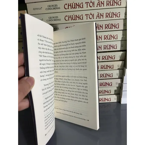 Đồng Ánh Dương Đồng Ánh Dương