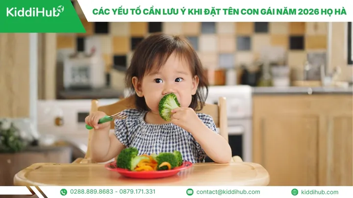 Hà Thảo Liên Hà Thảo Liên
