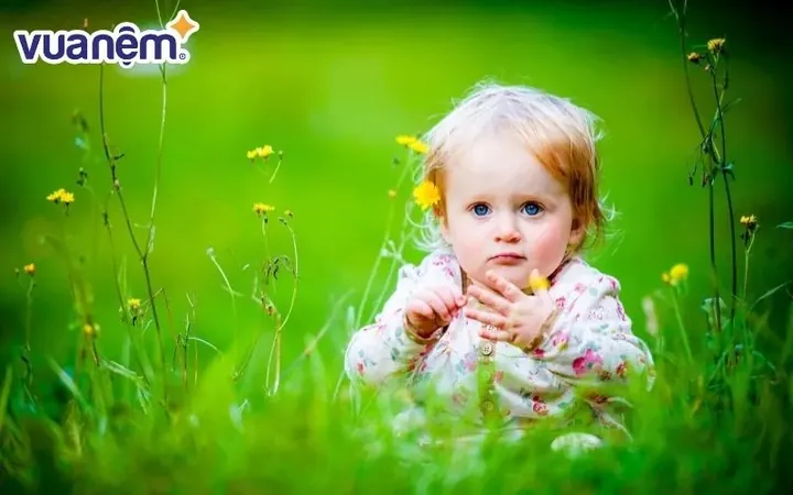 Tên Linh Đan Có Ý Nghĩa Gì Theo Từ Điển Hán Việt? Tên Linh Đan Có Ý Nghĩa Gì Theo Từ Điển Hán Việt?