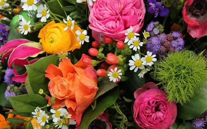 Gợi Ý Đặt Tên Tiếng Anh Cho Bé Gái Bắt Nguồn Từ Các Loài Hoa Gợi Ý Đặt Tên Tiếng Anh Cho Bé Gái Bắt Nguồn Từ Các Loài Hoa