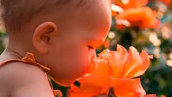 100+ Gợi Ý Đặt Tên Con Gái Theo Các Loài Hoa Hay, Ý Nghĩa Nhất Hiện Nay