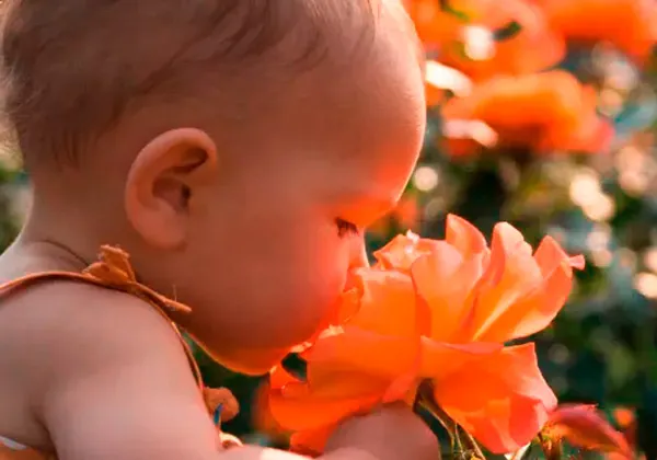 100+ Gợi Ý Đặt Tên Con Gái Theo Các Loài Hoa Hay, Ý Nghĩa Nhất Hiện Nay