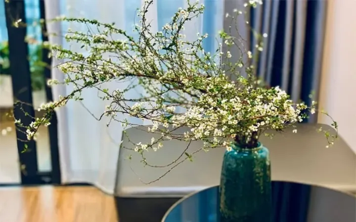 Top Các Loài Hoa Phổ Biến Và Ý Nghĩa Để Đặt Tên Tiếng Việt Cho Bé Gái