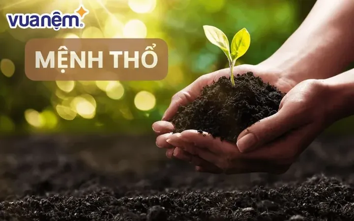 Biểu Tượng Mệnh Thổ Tượng Trưng Cho Đất Nuôi Dưỡng Vạn Vật Biểu Tượng Mệnh Thổ Tượng Trưng Cho Đất Nuôi Dưỡng Vạn Vật