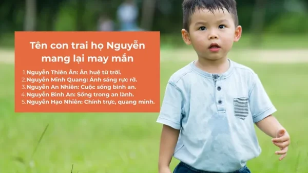 Gợi Ý Cách Đặt Tên Con Họ Nguyễn Hay, Ý Nghĩa Và Hợp Phong Thủy Năm 2026