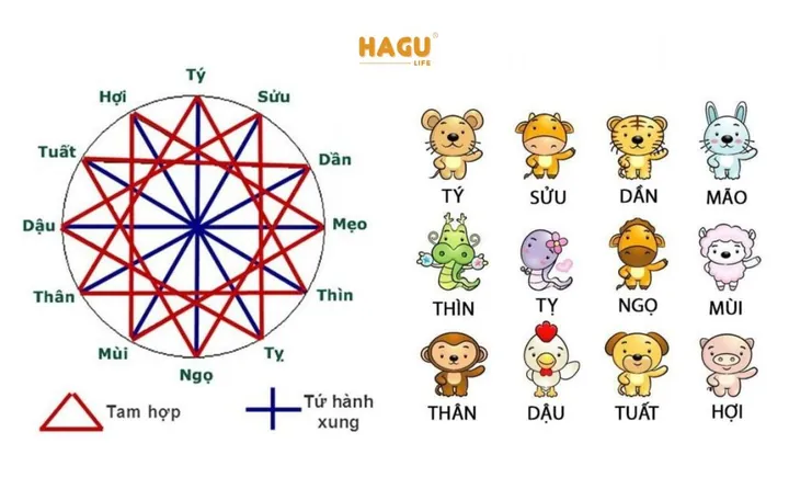Sơ Đồ Và Hướng Dẫn Cách Đặt Tên Con Theo Các Nhóm Tam Hợp Phong Thủy. Sơ Đồ Và Hướng Dẫn Cách Đặt Tên Con Theo Các Nhóm Tam Hợp Phong Thủy.