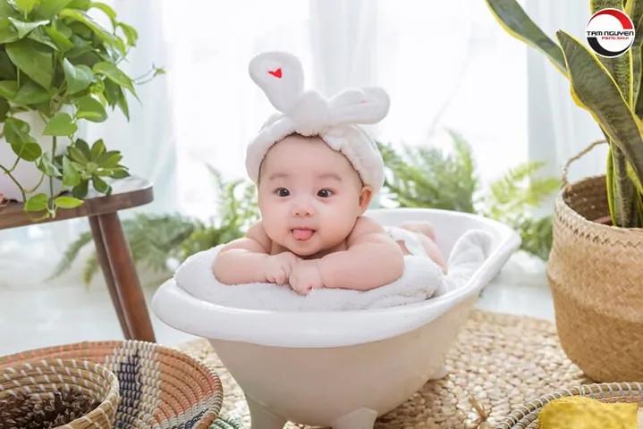 Phong Thủy Ngũ Hành Mang Lại Bình An Và Tài Lộc
