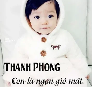 Hướng Dẫn Cách Đặt Tên Con Sinh Năm 2017 Đinh Dậu Hợp Phong Thủy Và Mang Lại Bình An