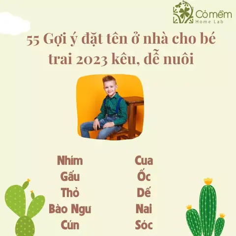 Đặt Tên Con Ở Nhà Dễ Nuôi: Tổng Hợp Các Biệt Danh Hay, Ý Nghĩa Và Dễ Gọi Nhất
