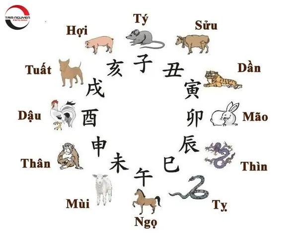 Bước 2: Phân Tích Bản Mệnh, Ngũ Hành Và Tứ Trụ Của Trẻ Bước 2: Phân Tích Bản Mệnh, Ngũ Hành Và Tứ Trụ Của Trẻ