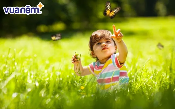 Bộ Sưu Tập Tên Đẹp Hợp Phong Thủy Cho Bé Bộ Sưu Tập Tên Đẹp Hợp Phong Thủy Cho Bé
