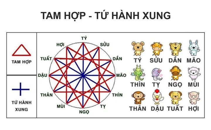 Bảng Các Cặp Địa Chi Tương Xung Cần Lưu Ý Khi Đặt Tên Bảng Các Cặp Địa Chi Tương Xung Cần Lưu Ý Khi Đặt Tên