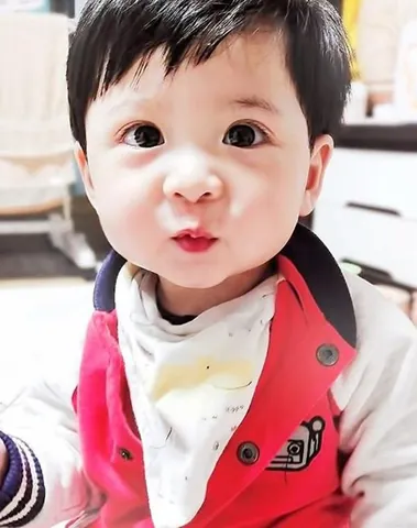 Làm Thế Nào Để Áp Dụng Quy Luật Tam Hợp Và Tứ Hành Xung Vào Việc Đặt Tên?