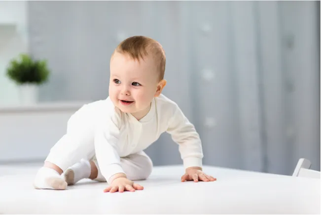 Bùi Quang Khải, Bùi Quốc Bảo, Bùi Quyết Chiến Bùi Quang Khải, Bùi Quốc Bảo, Bùi Quyết Chiến