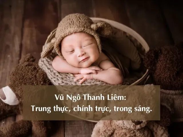 Gợi Ý Đặt Tên Con Trai 2020 Họ Vũ Hay, Hợp Phong Thủy Và Ý Nghĩa Nhất
