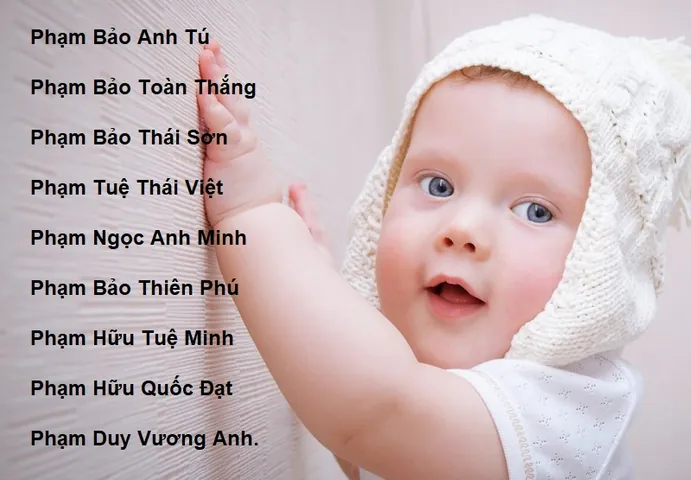 Có Nên Đặt Tên Con Trai Họ Hồ Trùng Với Tên Ông Bà Tổ Tiên Không?