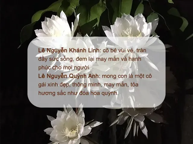 Gợi Ý Danh Sách Tên Con Trai Họ Lê Năm 2020 Hay, Ý Nghĩa Và Hợp Phong Thủy