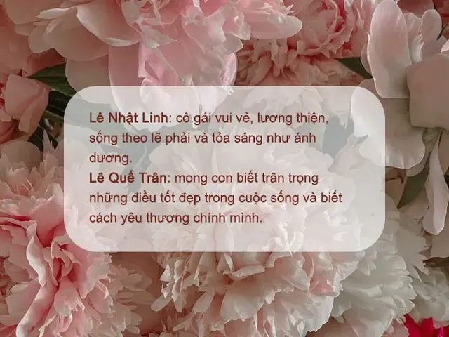 Gợi Ý Danh Sách Tên Con Trai Họ Lê Năm 2020 Hay, Ý Nghĩa Và Hợp Phong Thủy