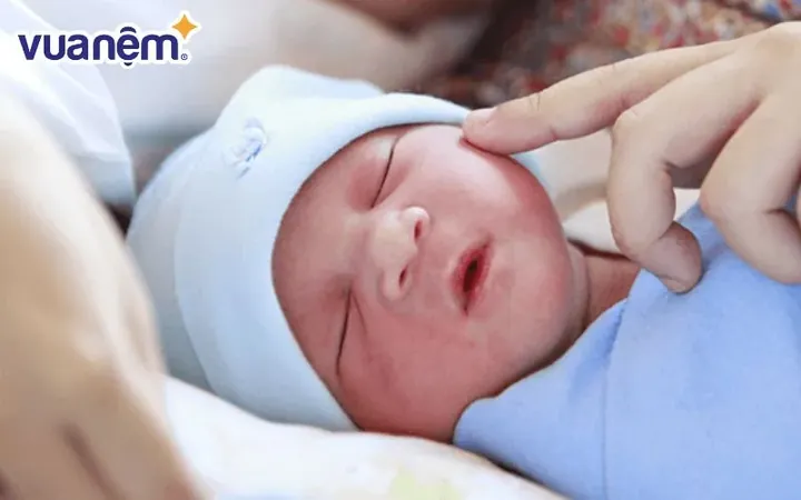 Gợi Ý Danh Sách Tên Con Trai Họ Nguyễn 3 Chữ Hay Và Ý Nghĩa Nhất Gợi Ý Danh Sách Tên Con Trai Họ Nguyễn 3 Chữ Hay Và Ý Nghĩa Nhất