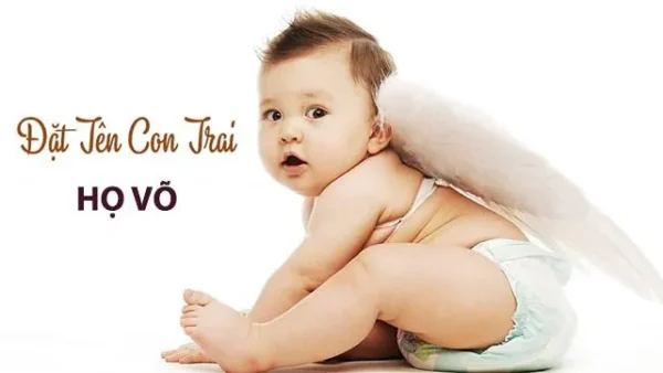 500+ Tên Bé Trai Họ Võ Hay, Ý Nghĩa Và Hợp Phong Thủy Cho Con Trai