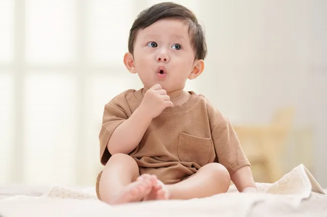 Hướng Dẫn Đặt Tên Con Trai Hợp Mệnh Mộc Hay, Ý Nghĩa Và Chuẩn Phong Thủy