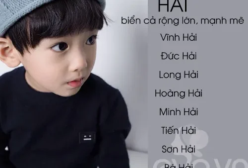 Gợi Ý Đặt Tên Cho Con Trai Sinh Năm 2016 Bính Thân Hay, Ý Nghĩa Và Hợp Mệnh