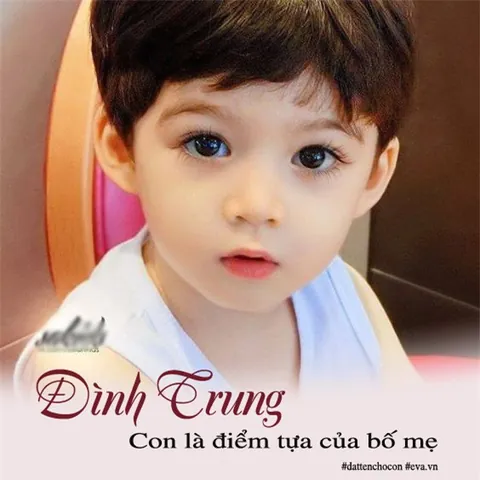 Hình Ảnh Minh Họa Cho Tên Ở Nhà Theo Các Loài Động Vật Hình Ảnh Minh Họa Cho Tên Ở Nhà Theo Các Loài Động Vật