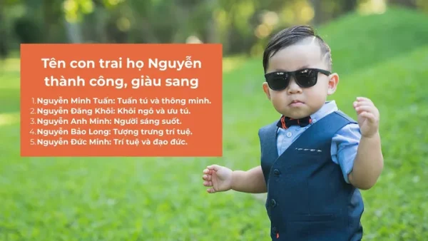 Gợi Ý Cách Đặt Tên Con Trai Sinh Năm 2019 Họ Nguyễn Hay, Ý Nghĩa Và Hợp Phong Thủy