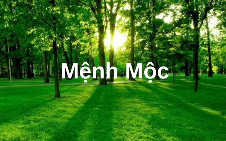 Bước 2: Lựa Chọn Từ Vựng Và Âm Tiết Thuộc Hành Mộc Hoặc Hành Thủy Để Đặt Tên? Bước 2: Lựa Chọn Từ Vựng Và Âm Tiết Thuộc Hành Mộc Hoặc Hành Thủy Để Đặt Tên?