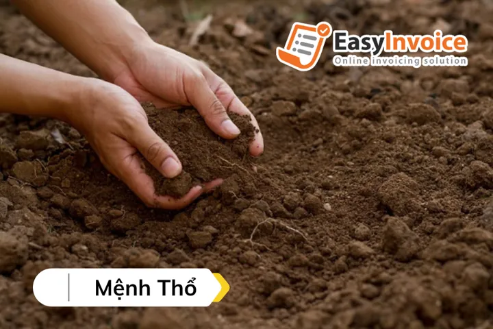 H Đặt Tên Công Ty Theo Mệnh Thủy, Mệnh Hỏa Và Mệnh Thổ Ra Sao? H Đặt Tên Công Ty Theo Mệnh Thủy, Mệnh Hỏa Và Mệnh Thổ Ra Sao?