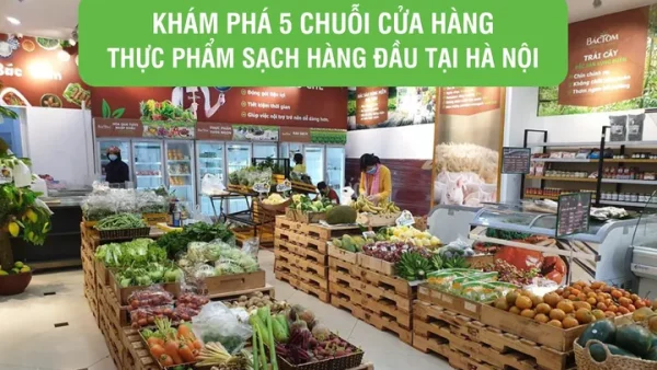 Bí Quyết Đặt Tên Cửa Hàng Thực Phẩm Sạch Ấn Tượng, Thu Hút Khách Hàng Và Dễ Nhớ