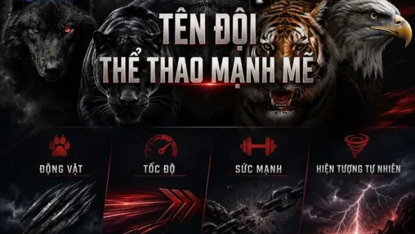 Tổng Hợp 500+ Cách Đặt Tên Đá Bóng Hay, Độc Lạ Và Ý Nghĩa Nhất Cho Team