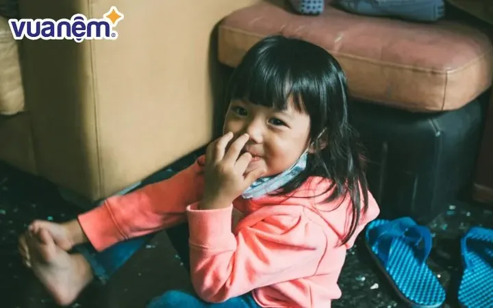Hình Ảnh Hoa Quỳnh Trắng Tinh Khôi Biểu Trưng Cho Tên Quỳnh Hình Ảnh Hoa Quỳnh Trắng Tinh Khôi Biểu Trưng Cho Tên Quỳnh