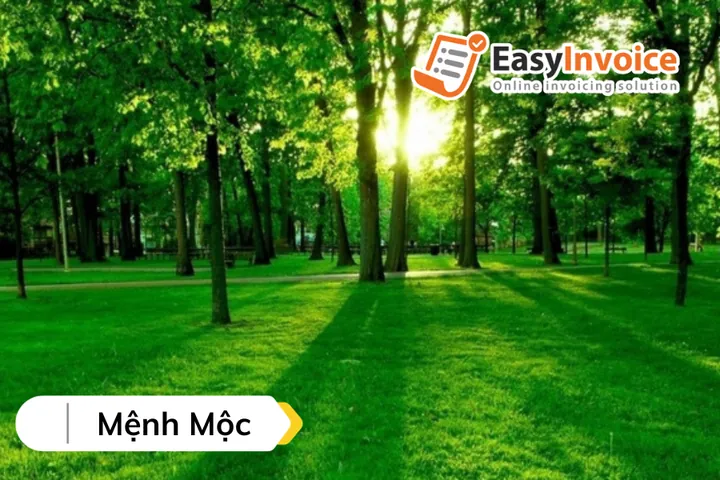 Đặt Tên Công Ty Theo Phong Thủy Mang Lại Những Lợi Ích Gì Cho Việc Kinh Doanh? Đặt Tên Công Ty Theo Phong Thủy Mang Lại Những Lợi Ích Gì Cho Việc Kinh Doanh?