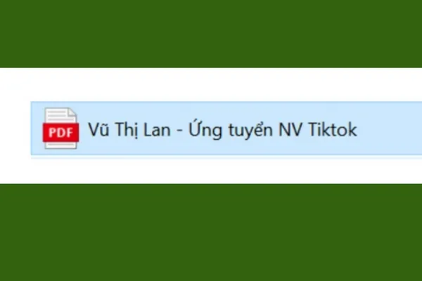 Cấu Trúc Đặt Tên File CV Theo Dạng Họ Tên Và Vị Trí Ứng Tuyển Ra Sao? Cấu Trúc Đặt Tên File CV Theo Dạng Họ Tên Và Vị Trí Ứng Tuyển Ra Sao?